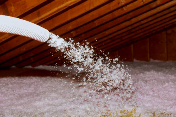 Types of Insulation We Offer in Donna, TX