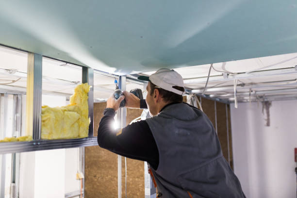 Best Residential Insulation in Donna, TX