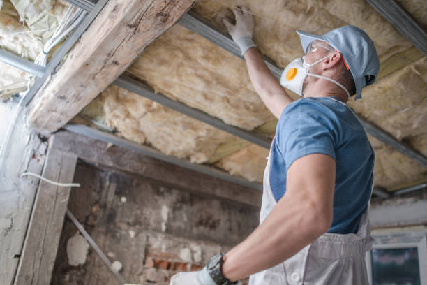 Best Insulation Maintenance and Repair in Donna, TX