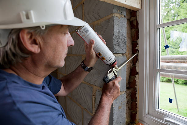Best Geographic-Specific Insulation Services in Donna, TX