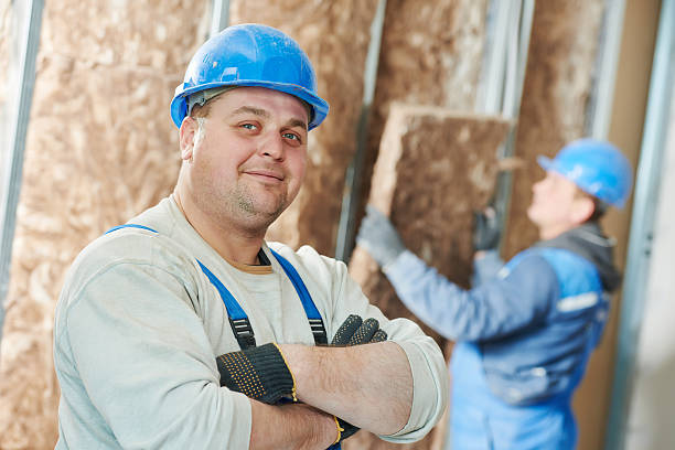 Best Commercial Insulation in Donna, TX