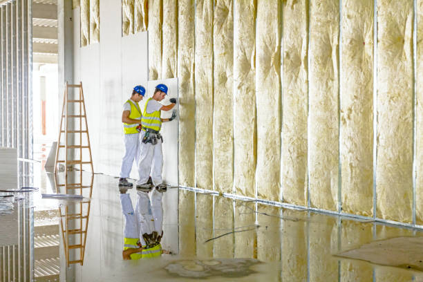 Best Specialized Insulation Services in Donna, TX